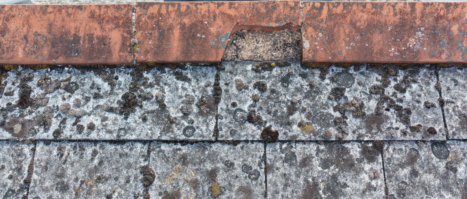 Aerial close up of a clay ridge course with a section of bedding mortar missing, above lichen covered tiles