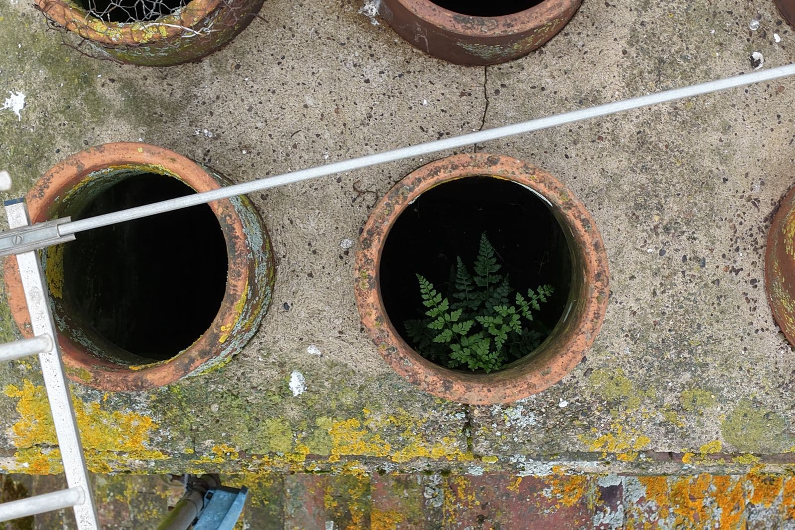 Close overhead aerial view of open terracotta chimney pots with a fern growing inside one of them