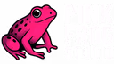 Pink Frog Studio — Exeter Website Design Agency